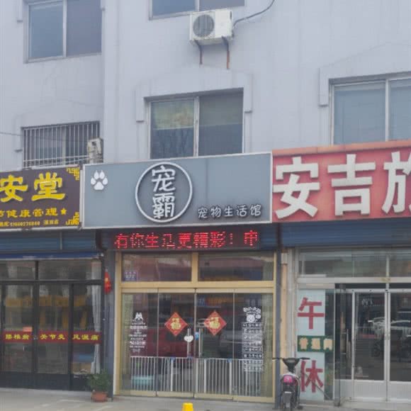 宠霸宠物生活馆:淄博市淄川区
