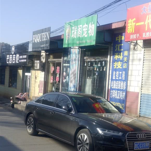 瑞阁宠物:淄博市淄川区