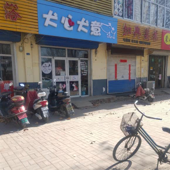 犬心犬意:淄博市淄川区