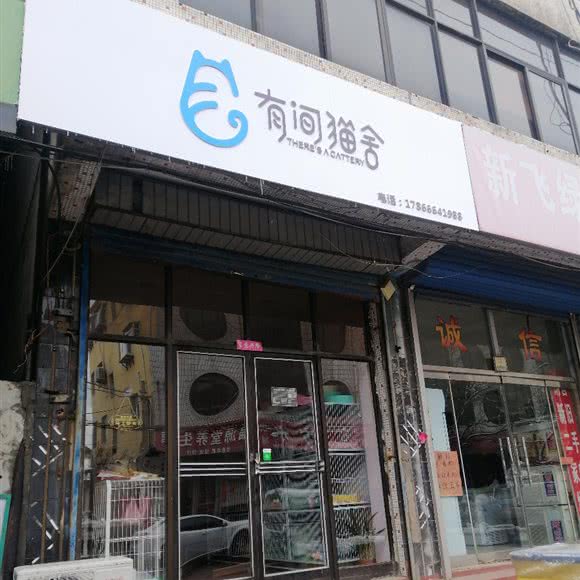 有间猫舍:淄博市淄川区