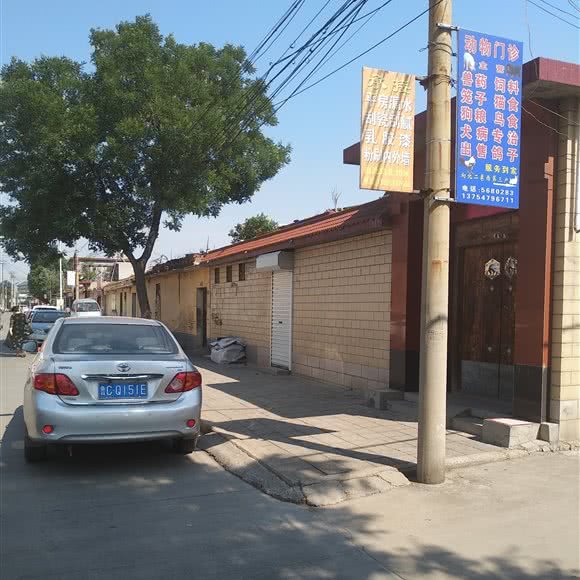 动物门诊:淄博市淄川区