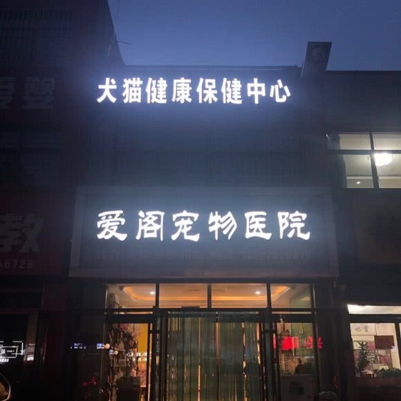 爱阁宠物(颐泽店):淄博市淄川区