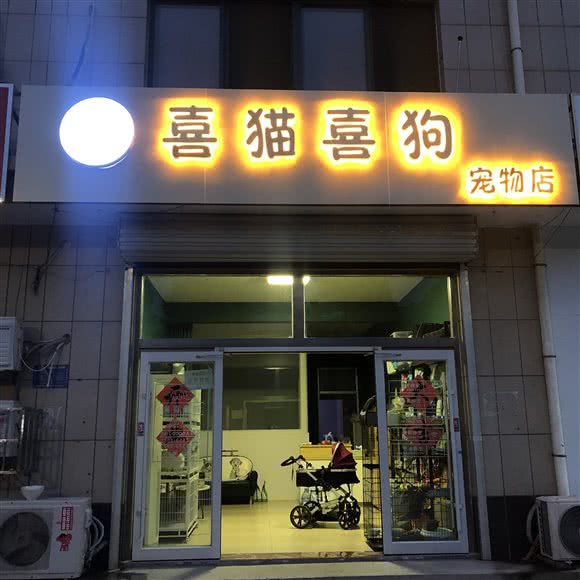 喜猫喜狗宠物店:淄博市张店区