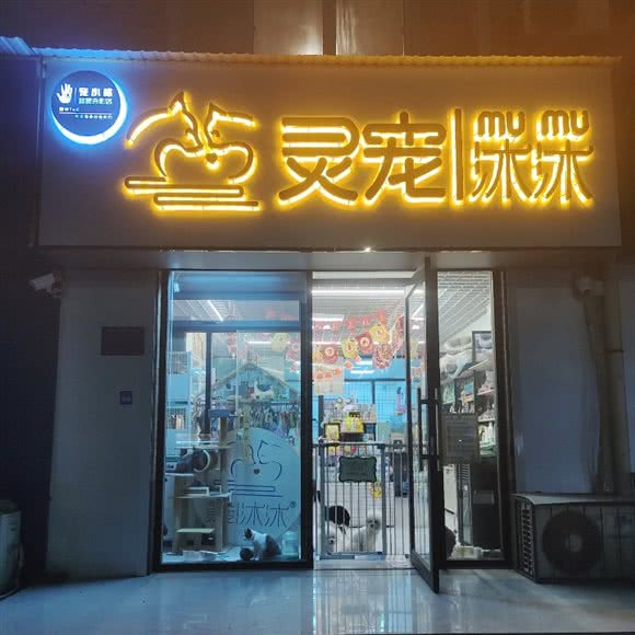 灵宠沐沐:淄博市张店区