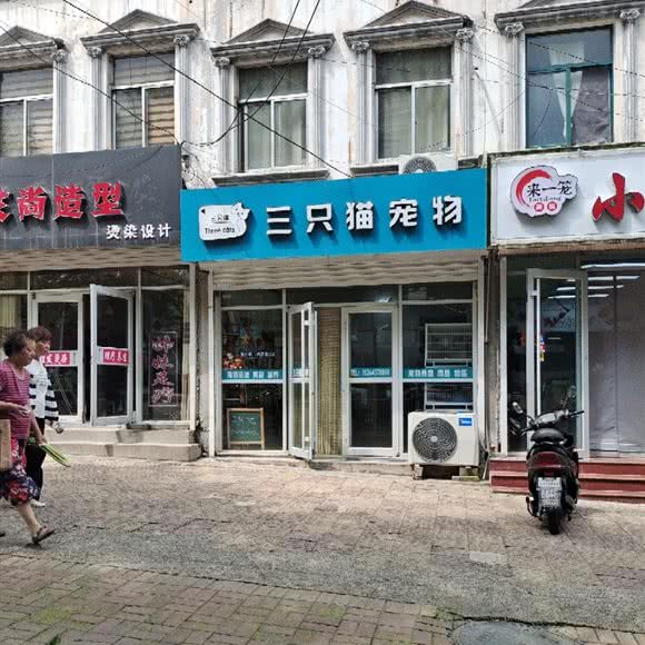 三只猫宠物:淄博市博山区