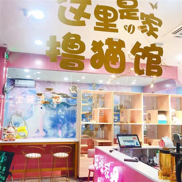 啾咪家·猫咖:淄博市博山区