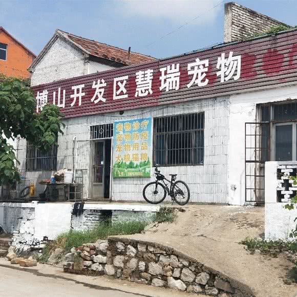 慧瑞宠物门诊:淄博市博山区