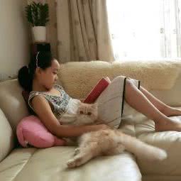 遇猫缘:北京城区朝阳区慈云寺/八里庄附近