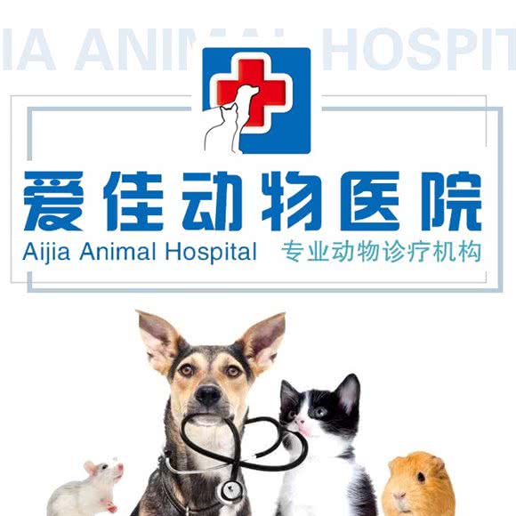 淄博爱佳动物医院:淄博市临淄区