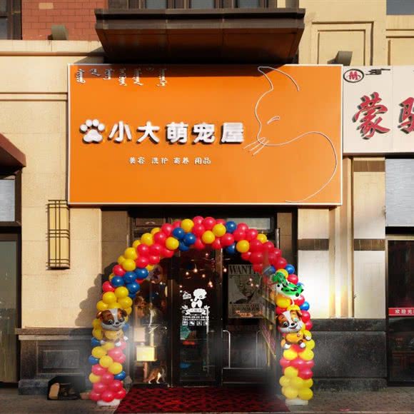 小大萌宠屋:呼和浩特市回民区金海附近