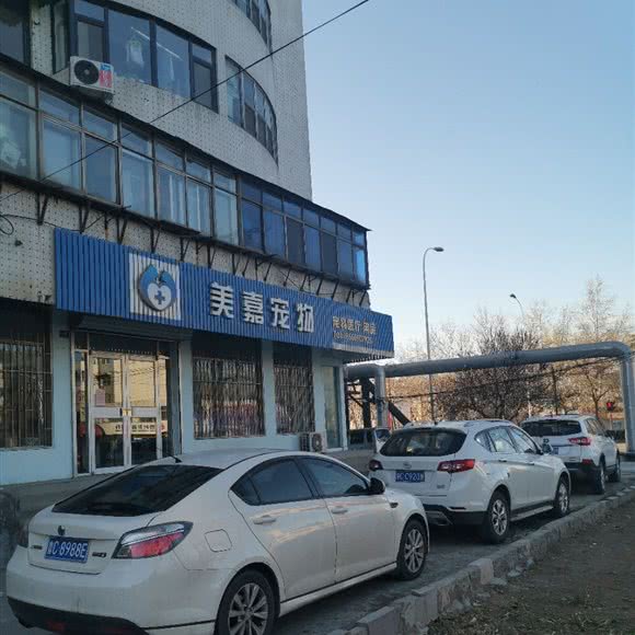 美嘉宠物:淄博市周村区