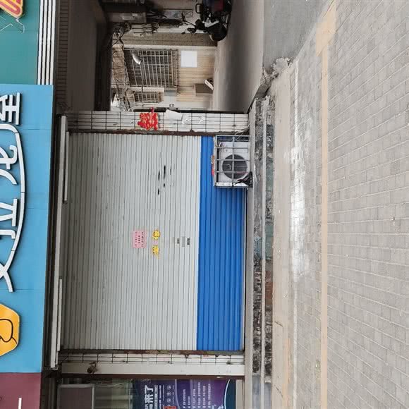 艾拉宠屋:淄博市周村区