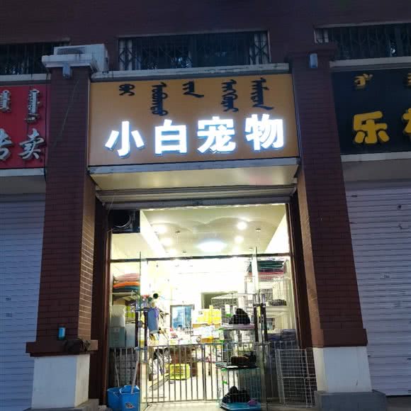小白宠物:呼和浩特市玉泉区凯德MALL/嘉茂附近