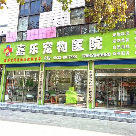 嘉乐宠物医院:淄博市桓台县