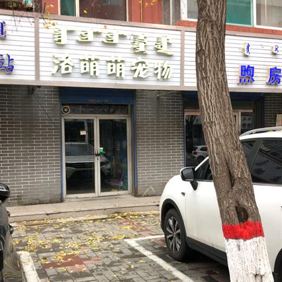 洛萌萌宠物:呼和浩特市玉泉区五塔寺附近