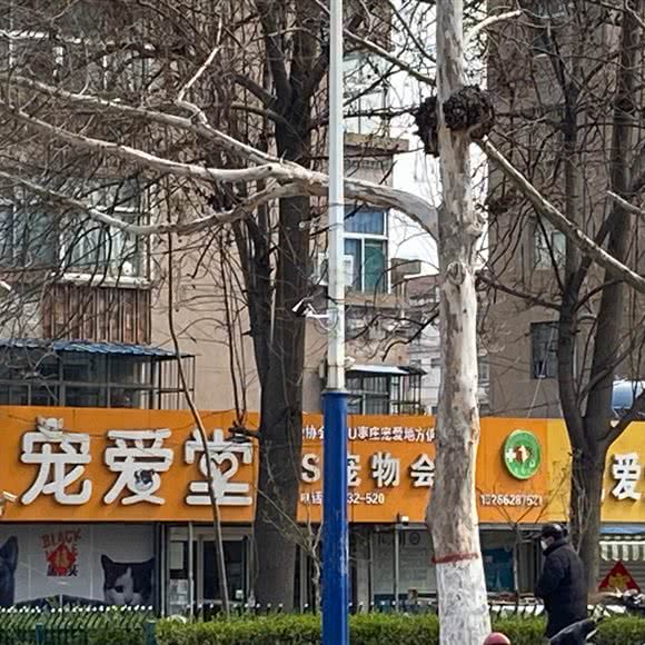 宠爱堂6S宠物会所:枣庄市市中区