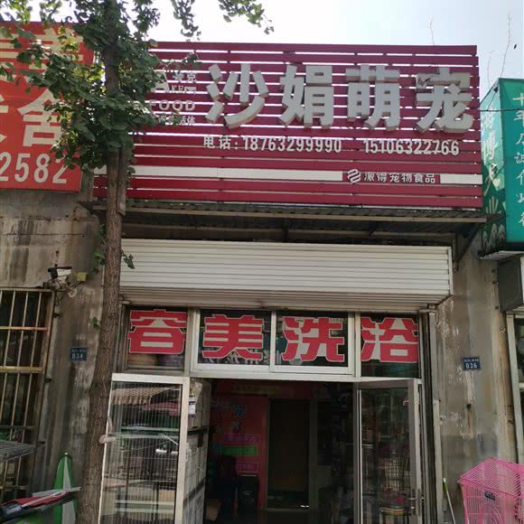 沙娟萌宠:枣庄市市中区