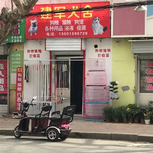 建军犬舍:枣庄市市中区