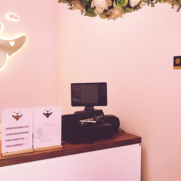 petcity狗狗城:枣庄市薛城区