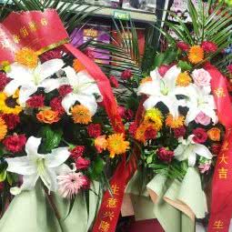 萌宠社:枣庄市薛城区