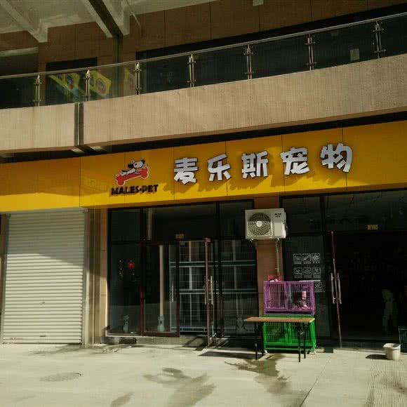 麦乐斯宠物:枣庄市薛城区