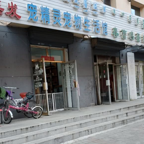宠精灵宠物生活馆:呼和浩特市玉泉区五塔寺附近