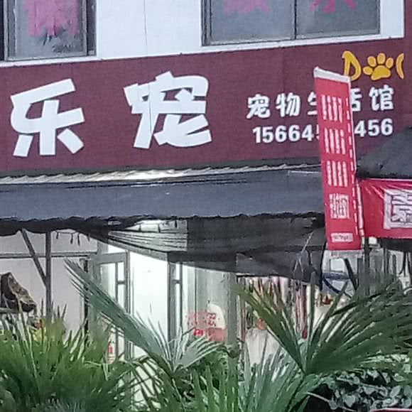 乐宠生话馆:枣庄市薛城区