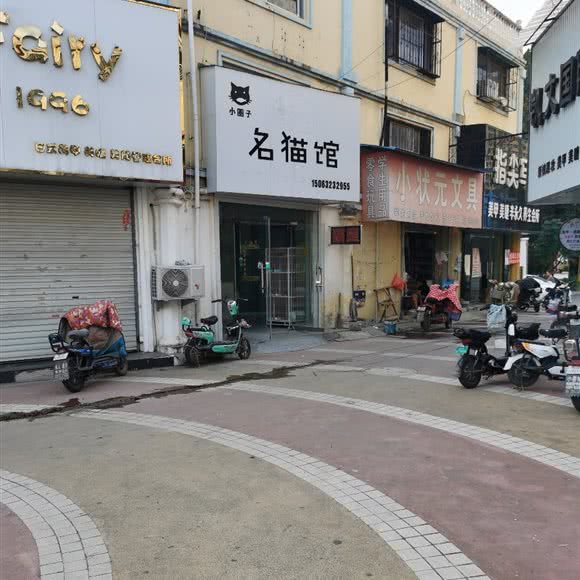 小圈子名猫馆:枣庄市薛城区