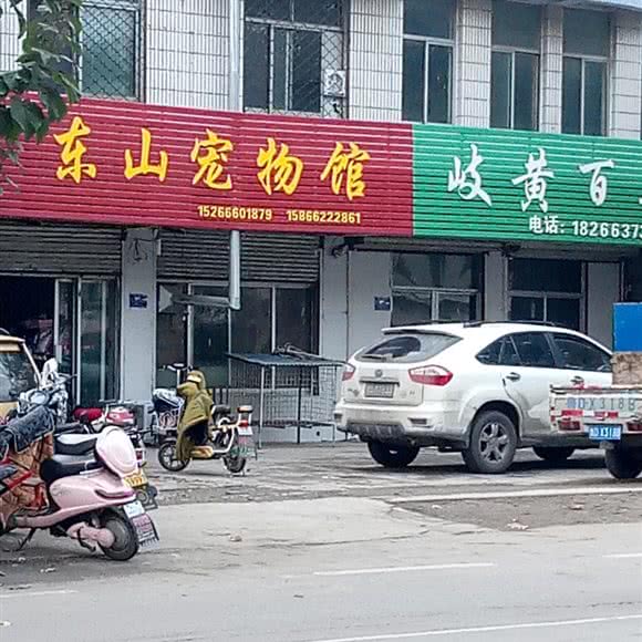 东山宠物馆:枣庄市薛城区