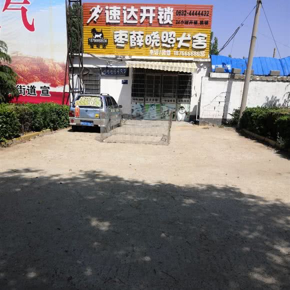 枣薛晓照犬舍:枣庄市薛城区