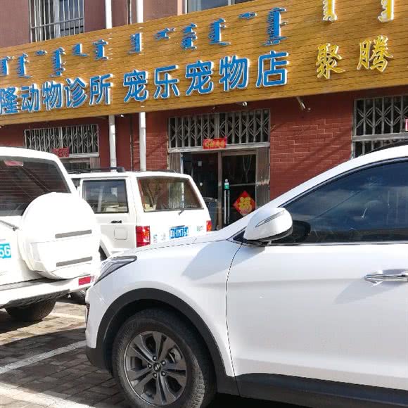 宠乐宠物店:呼和浩特市玉泉区五塔寺附近
