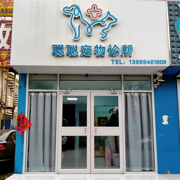聪聪宠物诊所:枣庄市薛城区