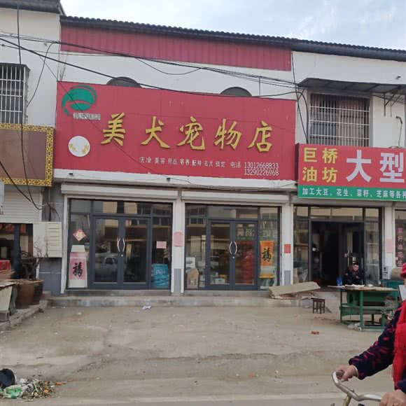 美犬宠物店:枣庄市台儿庄区