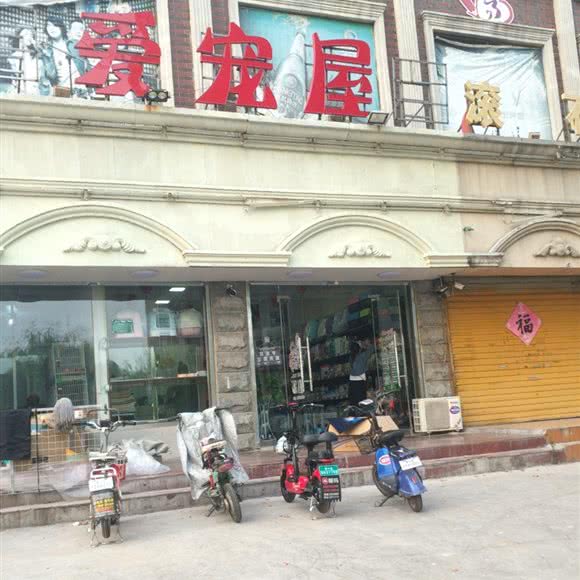 爱宠屋:枣庄市滕州市