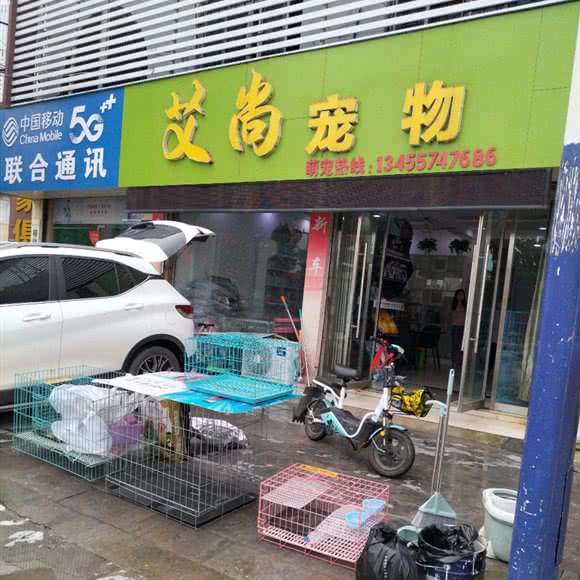 艾尚宠物:枣庄市滕州市