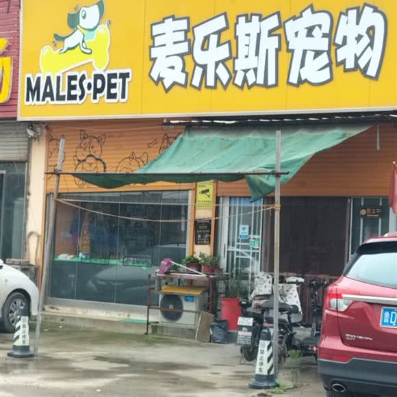麦乐斯宠物:枣庄市滕州市