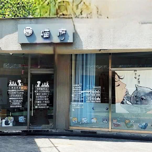 喵府猫咪体验馆:枣庄市滕州市