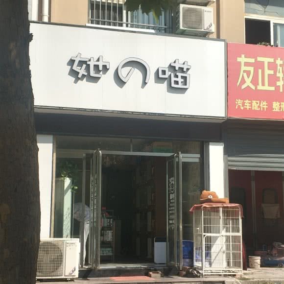 她の喵:枣庄市滕州市