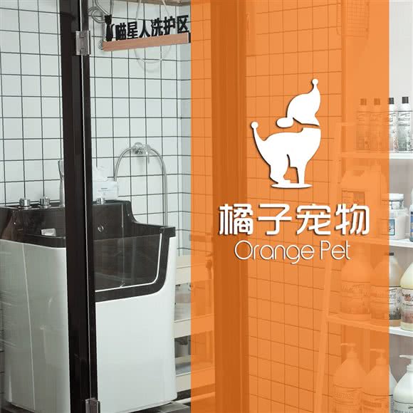 橘子宠物:枣庄市滕州市