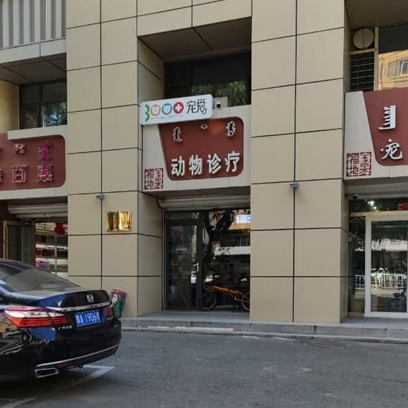 三千宠爱动物诊疗:呼和浩特市玉泉区五塔寺附近