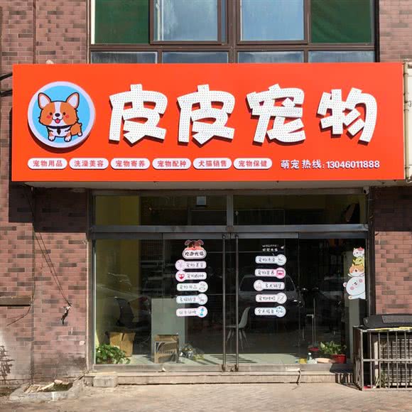 皮皮狗狗:枣庄市滕州市