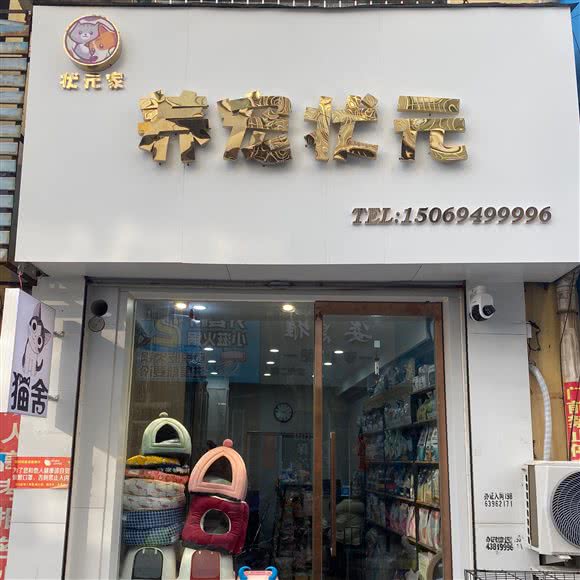 养宠状元猫舍:枣庄市滕州市