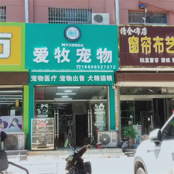 爱牧宠物:枣庄市滕州市