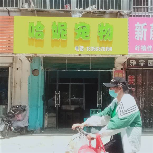 哈妮宠物:枣庄市滕州市