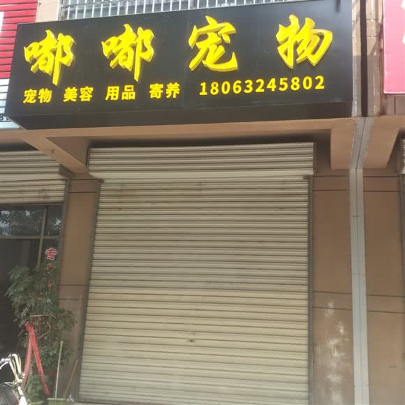嘟嘟宠物:枣庄市滕州市
