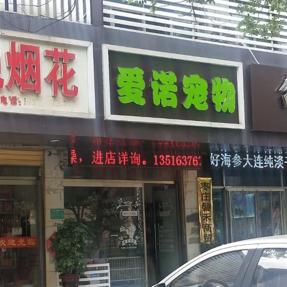 爱诺宠物狗:枣庄市滕州市