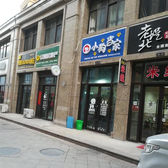 小狗当家:枣庄市滕州市