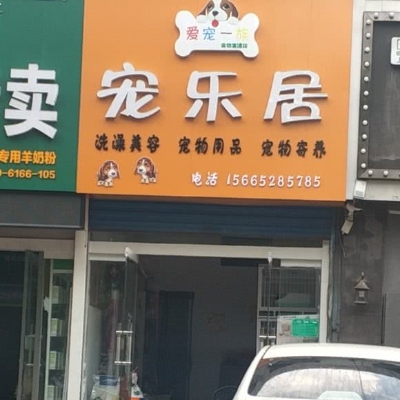 宠乐居:枣庄市滕州市