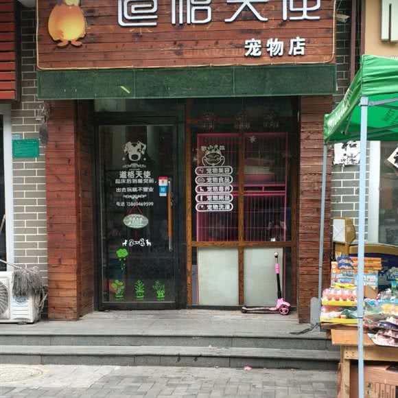 宠旺道格天使宠物店:枣庄市滕州市