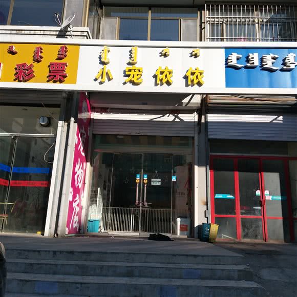 小宠依依:呼和浩特市玉泉区大召附近